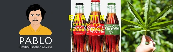 индика Баксан