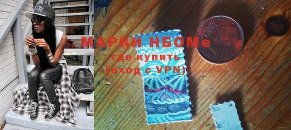 индика Баксан