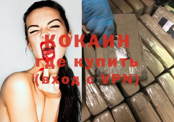 индика Баксан