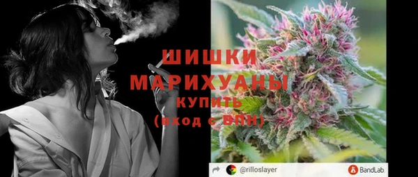 индика Баксан