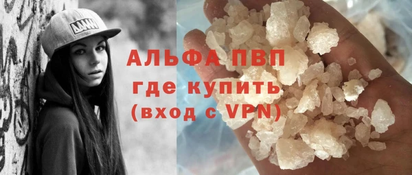индика Баксан
